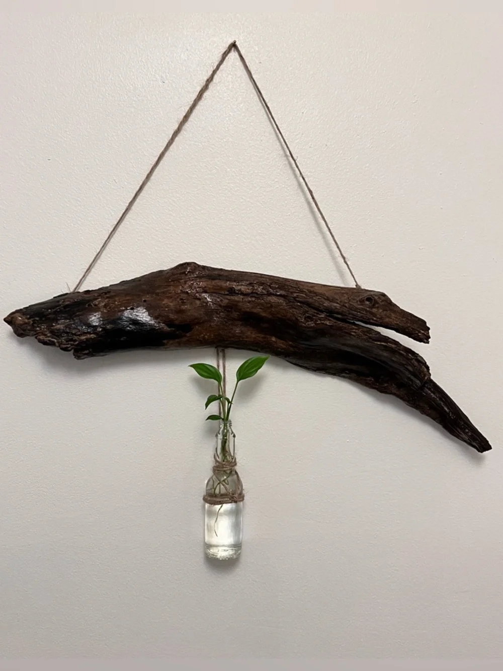 Handcrafted Driftwood Wall Hanging with Glass Bud Vase - Brown